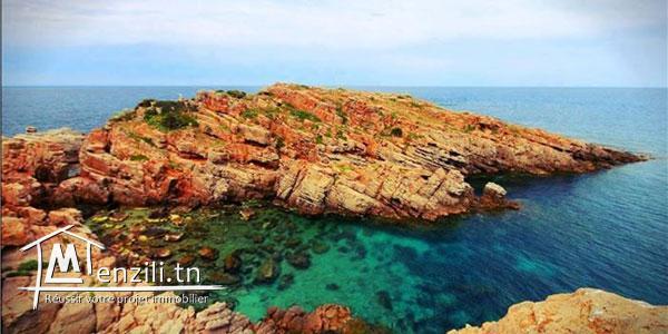 à vendre des lots de terrain 800 m à la plage elhaouria