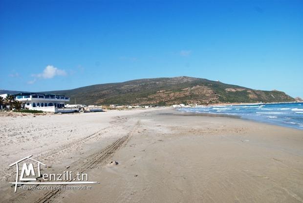 à vendre des lots de terrain 800 m à la plage elhaouria