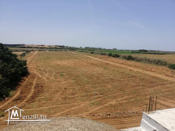 à vendre des lots de terrain 800 m à la plage elhaouria