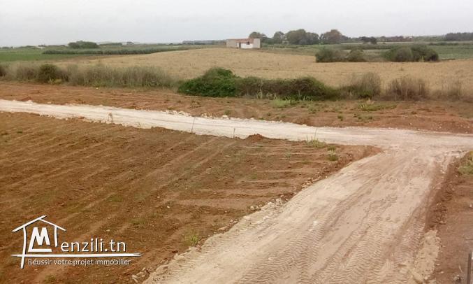 à vendre des lots de terrain 800 m à la plage elhaouria