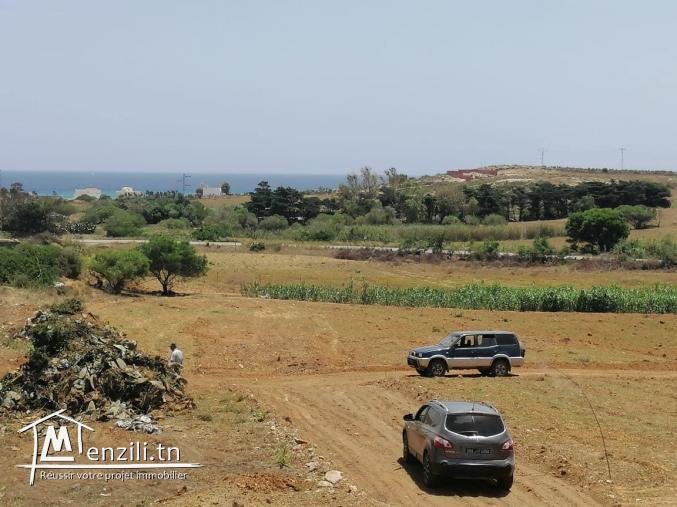 à vendre des lots de terrain 800 m à la plage elhaouria