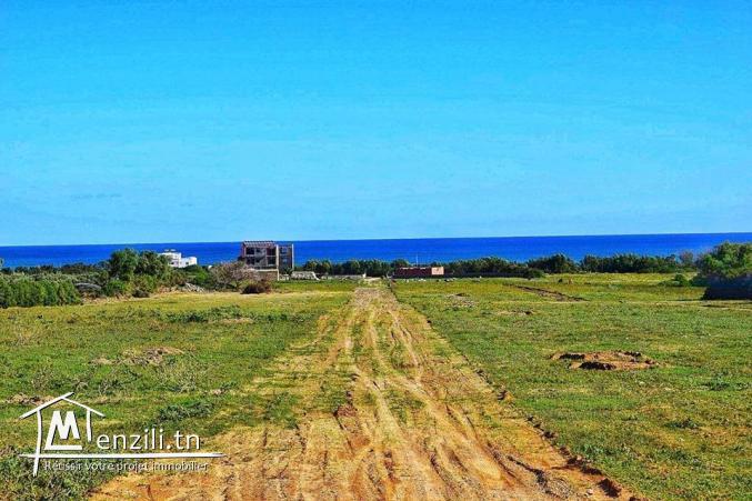 Terrain à vendre prix 40 mille dinars