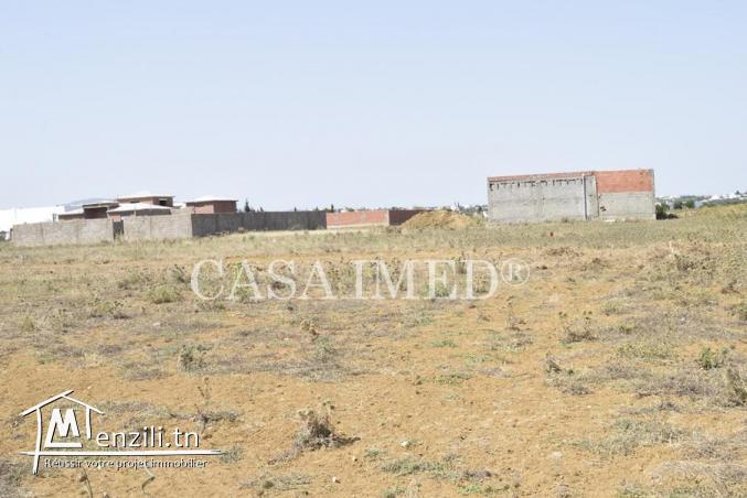 Superbe terrain Prés de Yasmine Hammmamet