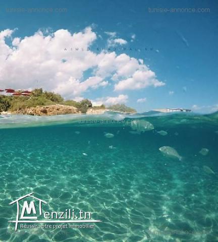 Des lots de terrain constructible à Kelibia ville