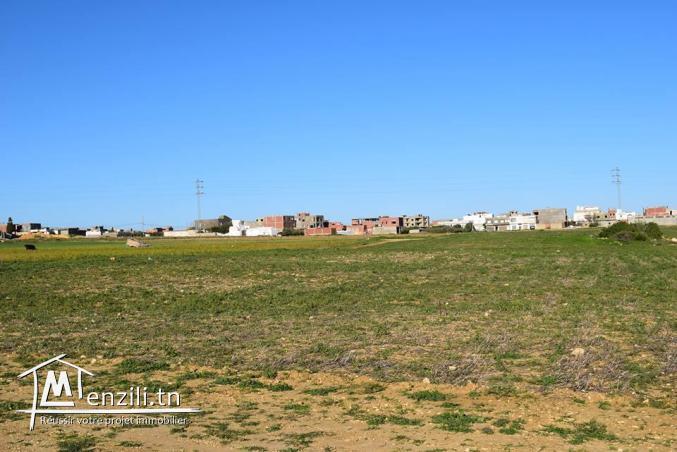 Des lots de terrain constructible à Kelibia ville