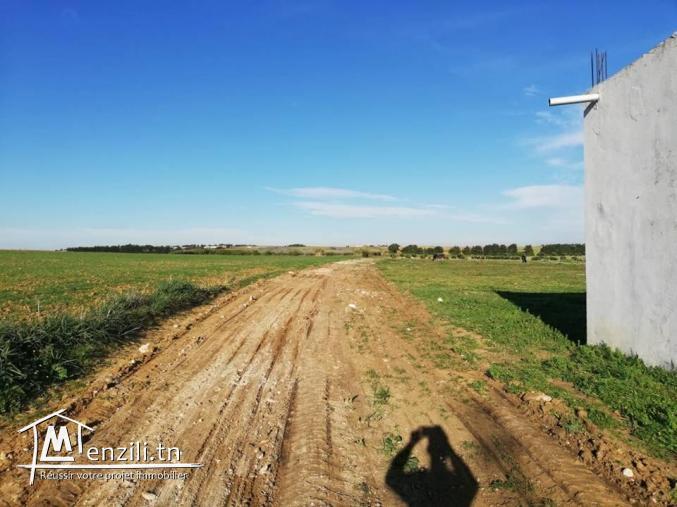 a vendre un terrain agricole à Menzel Ibrahim