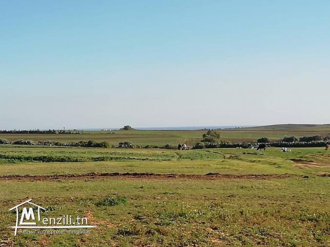 a vendre un terrain agricole à Menzel Ibrahim