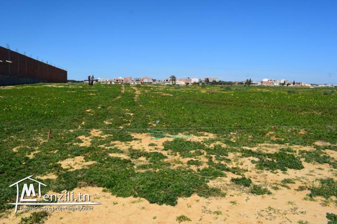 des Terrains à vendre à centre ville kélibia