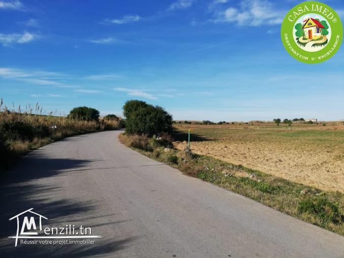 Terrain à vendre à El Hawaria prix 24 mille drs