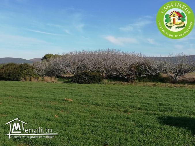 Terrain à vendre à El Hawaria prix 24 mille drs