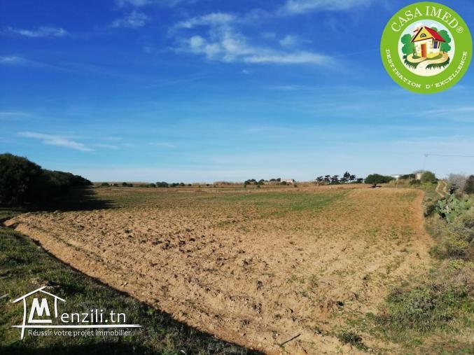 Terrain à vendre à El Hawaria prix 24 mille drs