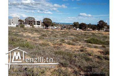 Terrain industriel en face du GP1 sousse