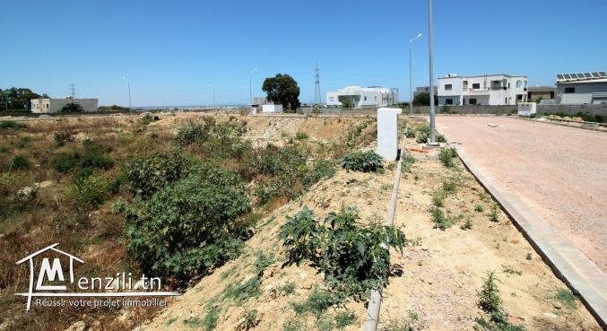 Beau terrain à la Soukra