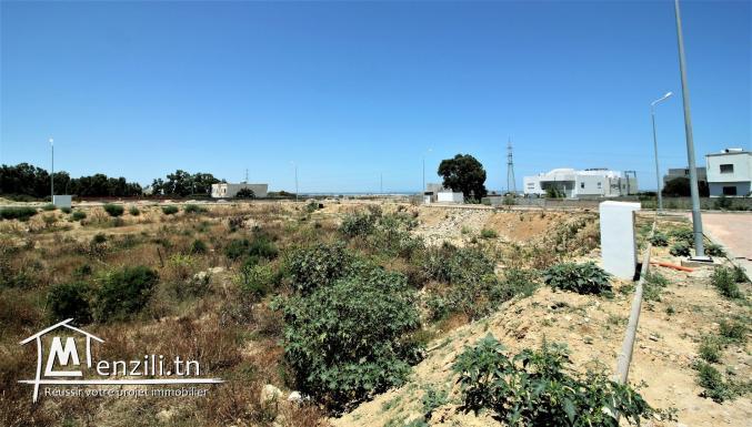 Beau terrain à la Soukra