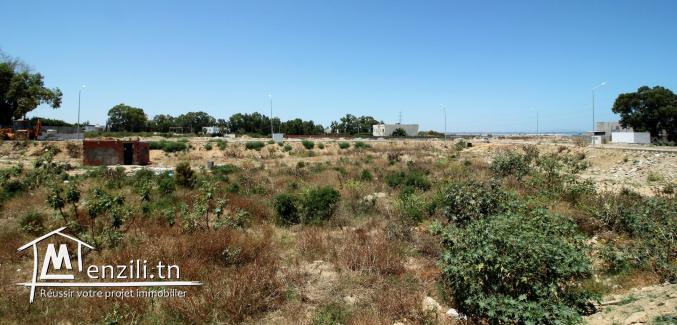 Beau terrain à la Soukra