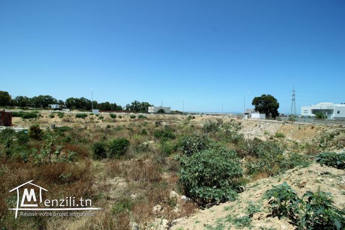 Beau terrain à la Soukra