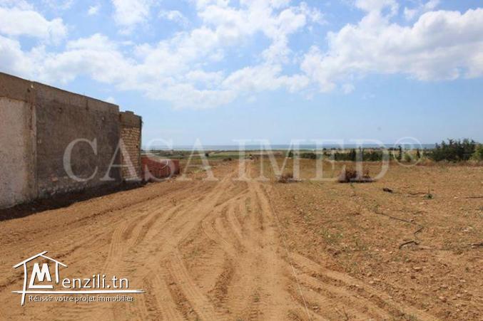 terrain à manzel horr de 250 m2