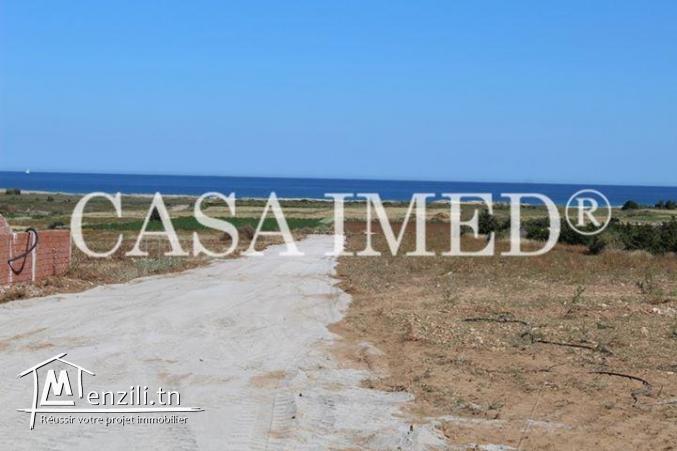 terrain à manzel horr de 250 m2