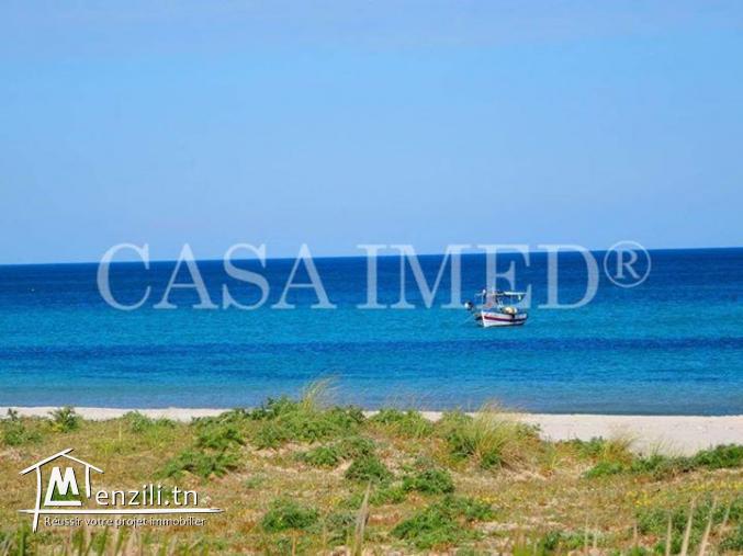 terrain à manzel horr de 250 m2