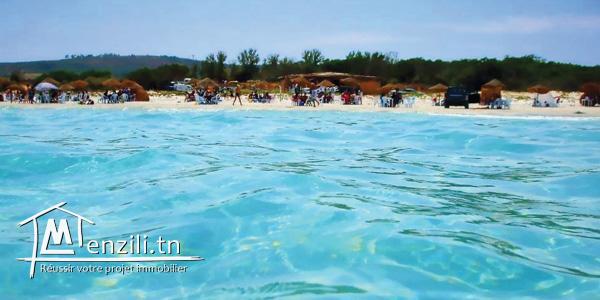 تقسيم أراضي بكركوان