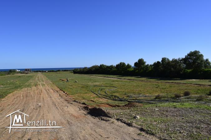 تقسيم أراضي بكركوان