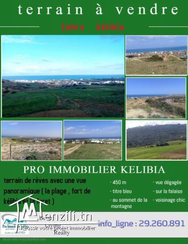 terrain à vendre à zahra kélibia