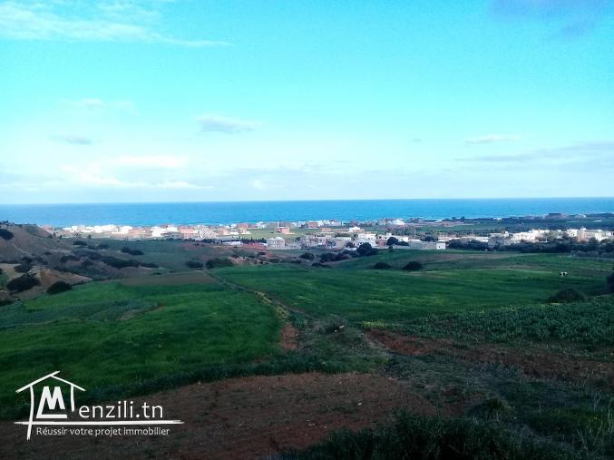 terrain à vendre à zahra kélibia