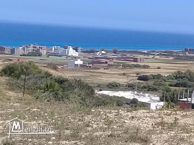 terrain à vendre à zahra kélibia