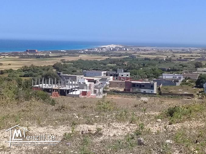 terrain à vendre à zahra kélibia
