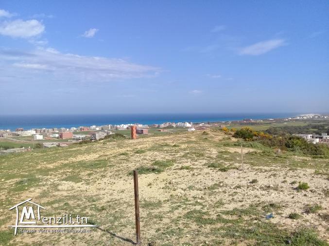 terrain à vendre à zahra kélibia