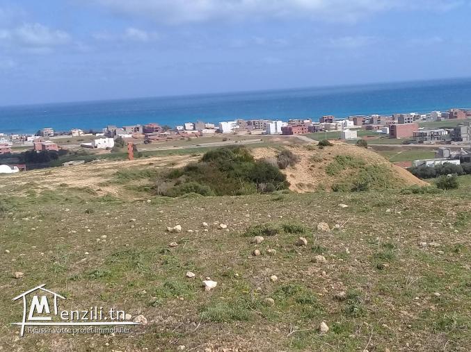 terrain à vendre à zahra kélibia