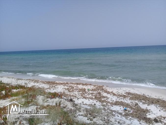 maison à louer à kélibia AIN GRENZ