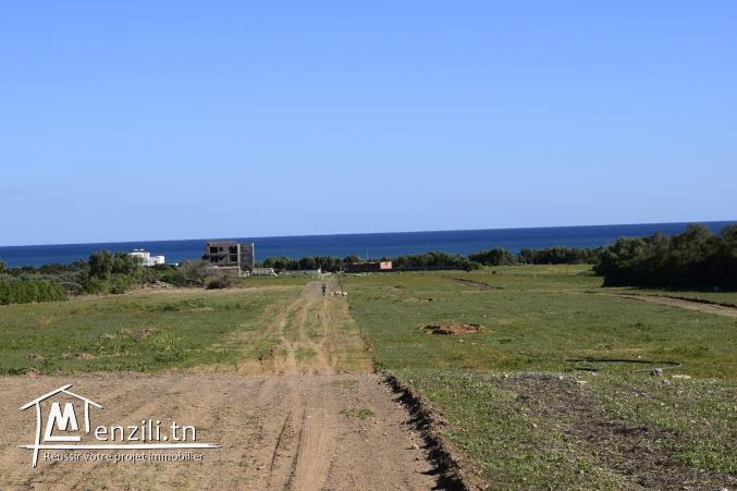 terrain à kerkwen ne rate pas