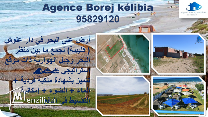 ارض للبيع في بحر دار علوش قليبية ???????? 95829120