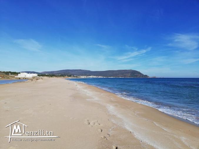 terrain à haouaria plage