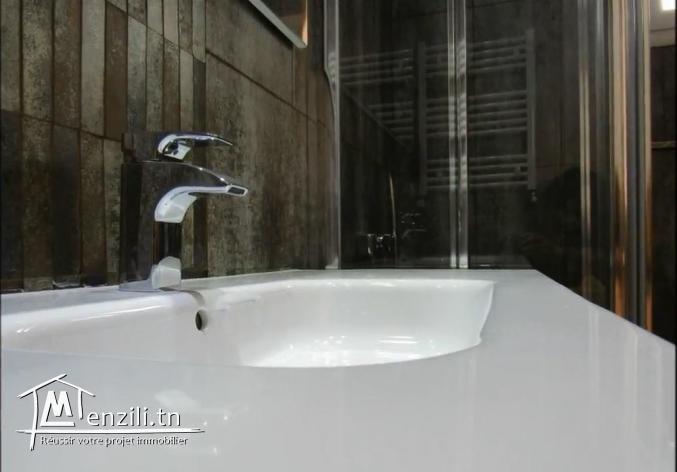 duplex s3 trés haut gamme