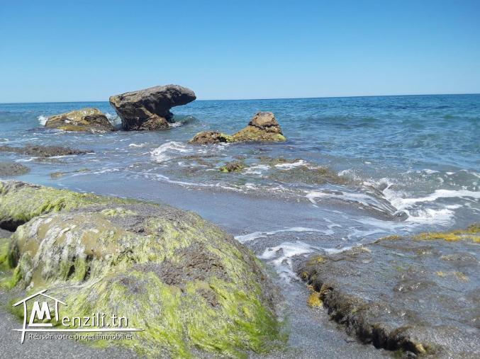 kerkouane plage (kélibia)