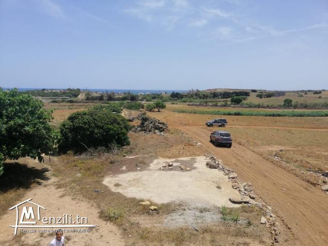 Terrain à vendre à El Haouaria