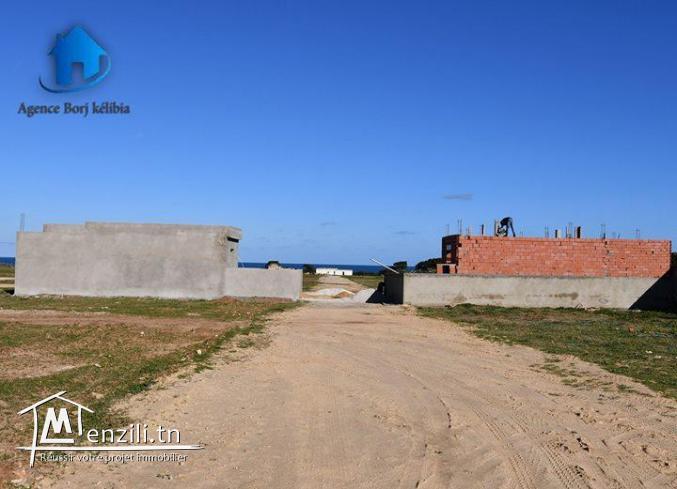 terrain a vendre a plage dar allouche kélibia 95829120
