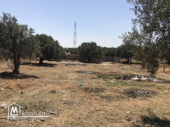 Terrain avec une belle fasade