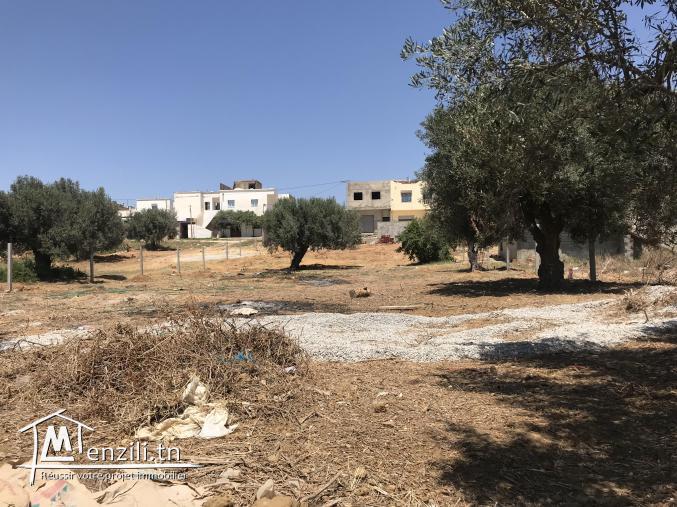 Terrain avec une belle fasade