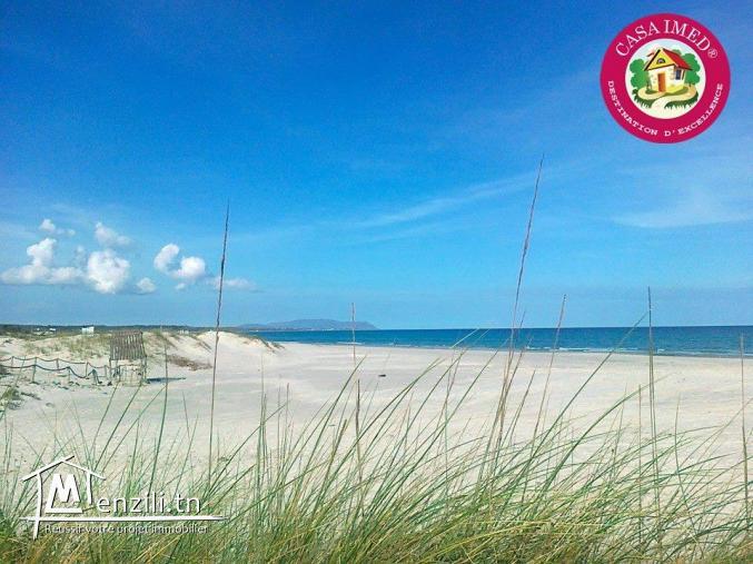 Terrain à dar alouche kelibia