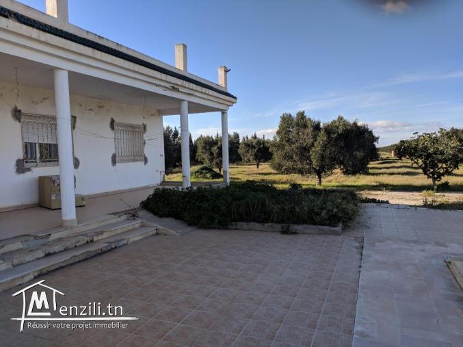 une magnifique Ferme agricole à Sidi BouAli de 7 Hectares