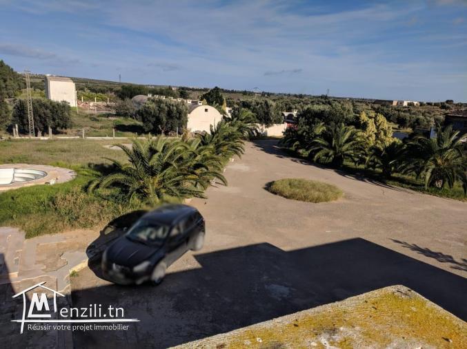 une magnifique Ferme agricole à Sidi BouAli de 7 Hectares