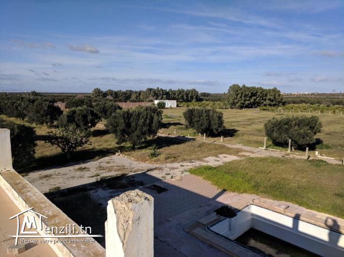 une magnifique Ferme agricole à Sidi BouAli de 7 Hectares