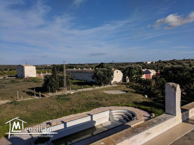 une magnifique Ferme agricole à Sidi BouAli de 7 Hectares