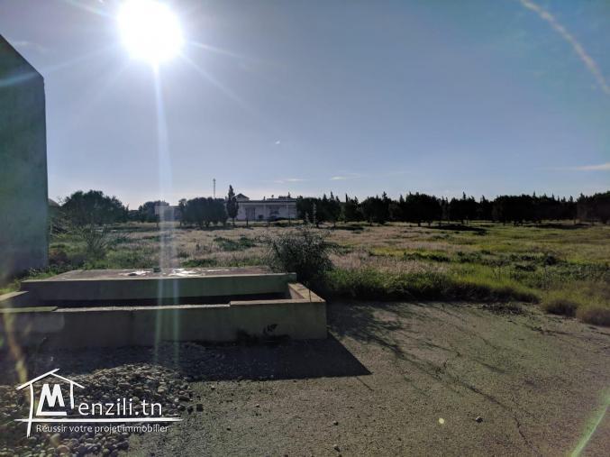 une magnifique Ferme agricole à Sidi BouAli de 7 Hectares