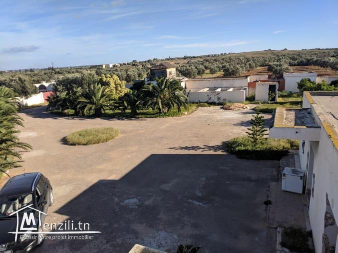 une magnifique Ferme agricole à Sidi BouAli de 7 Hectares