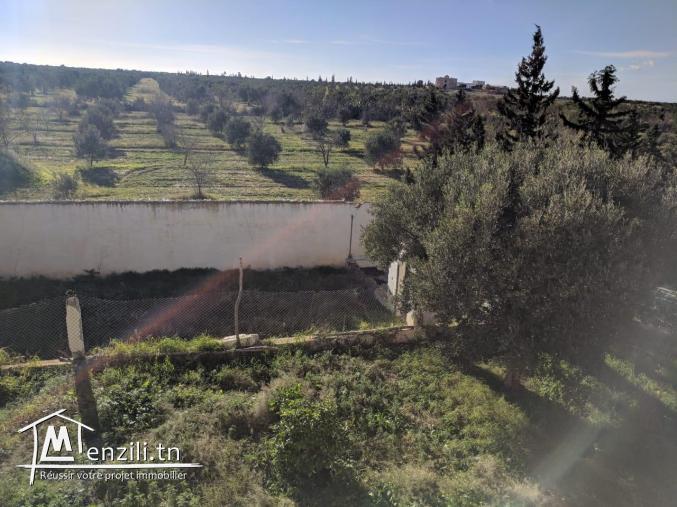 une magnifique Ferme agricole à Sidi BouAli de 7 Hectares
