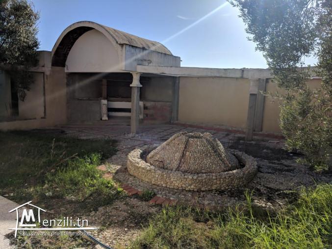 une magnifique Ferme agricole à Sidi BouAli de 7 Hectares